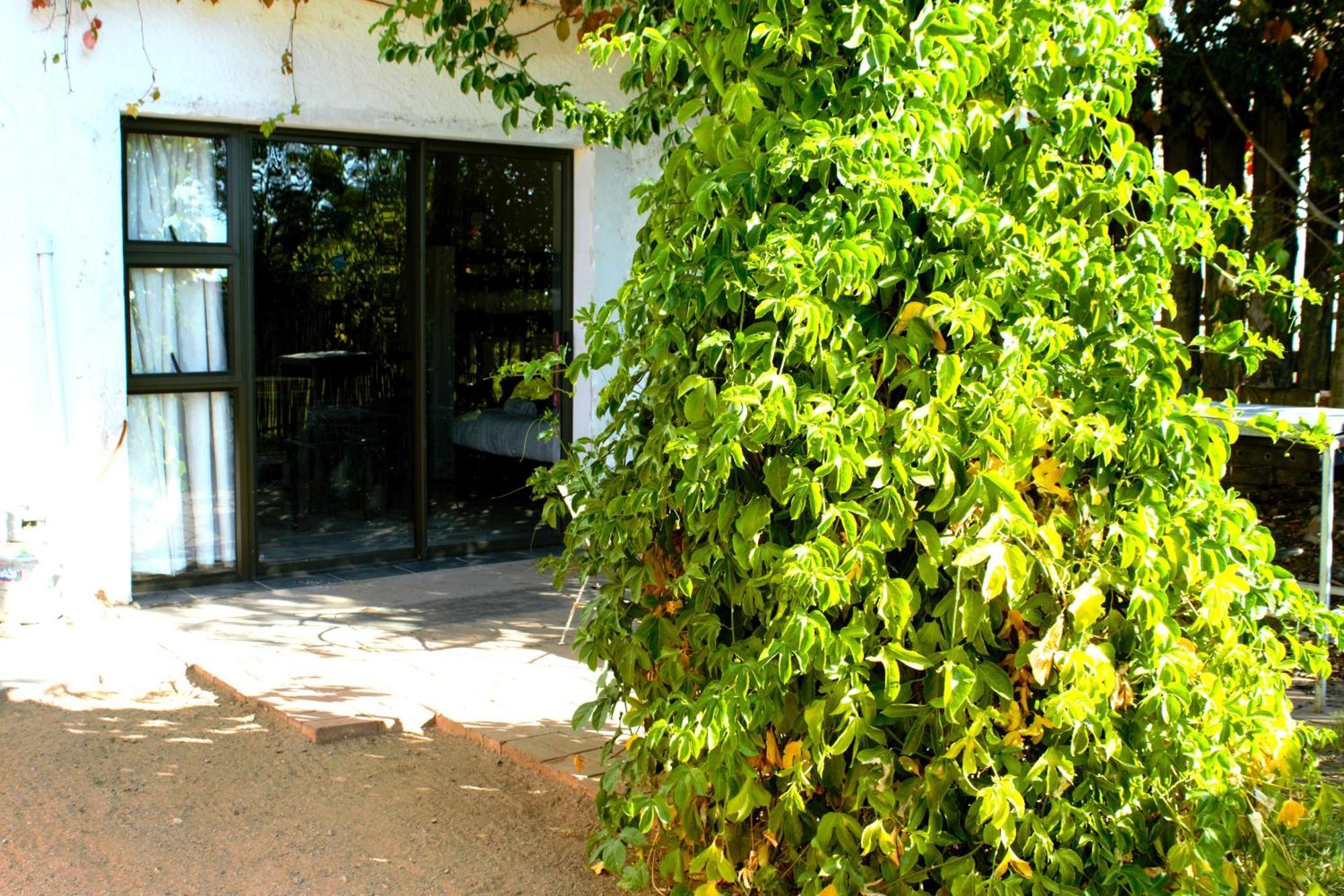Ditsem Guest Farm Upington Eksteriør billede