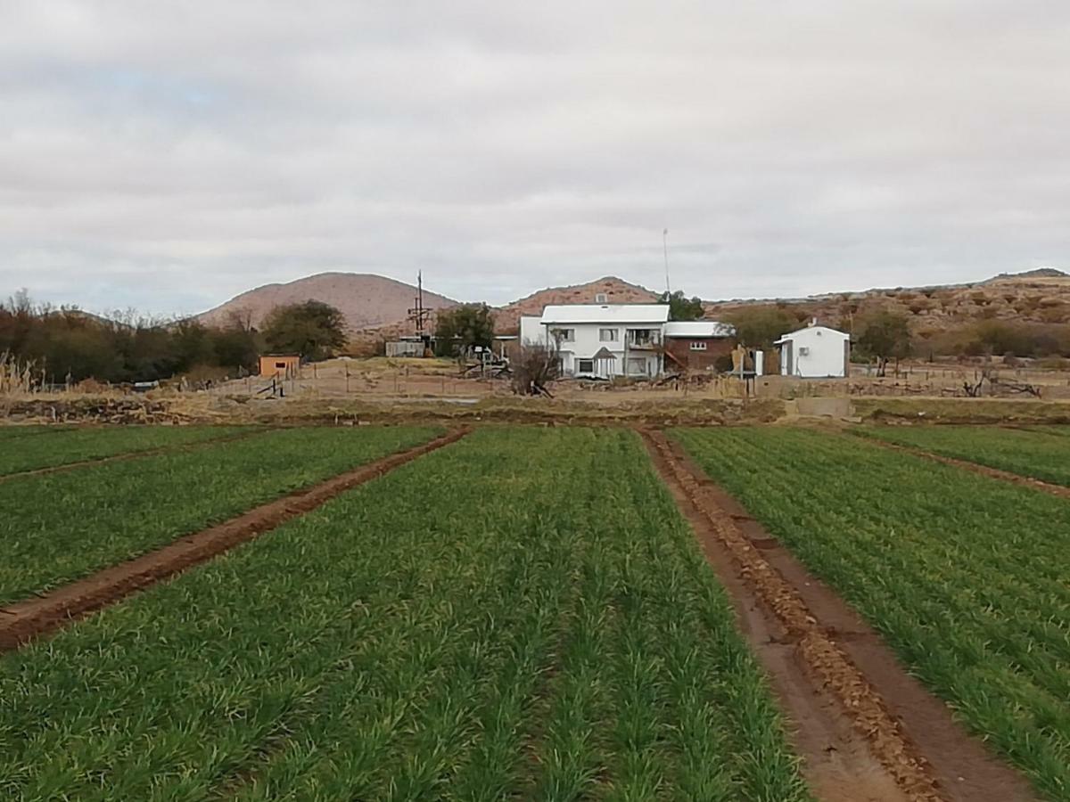 Ditsem Guest Farm Upington Eksteriør billede